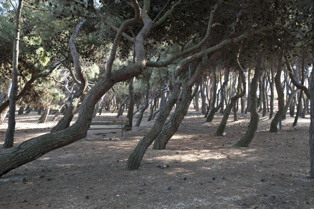 Porto SantʼElpidioLillananna Reloadアパートメント エクステリア 写真